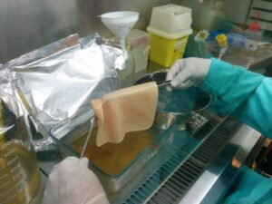 Extracción celulosa CTCR