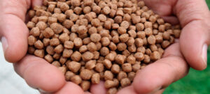 PELLETS