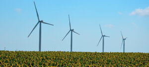 Molinos eólicos