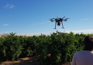 AINIA desarrollará, a través del proyecto AGRISME, herramientas digitales más accesibles para los agricultores