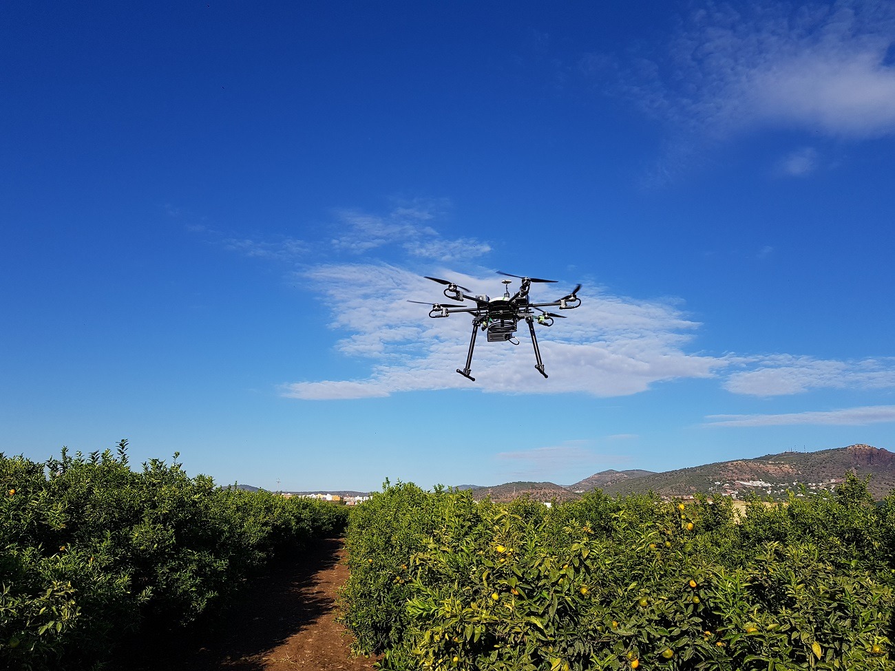 AINIA desarrollará, a través del proyecto AGRISME, herramientas digitales más accesibles para los agricultores
