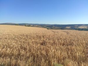 AIMPLAS desarrolla sus últimos proyectos con técnicas mecánicoquímicas limpias y biodegradables