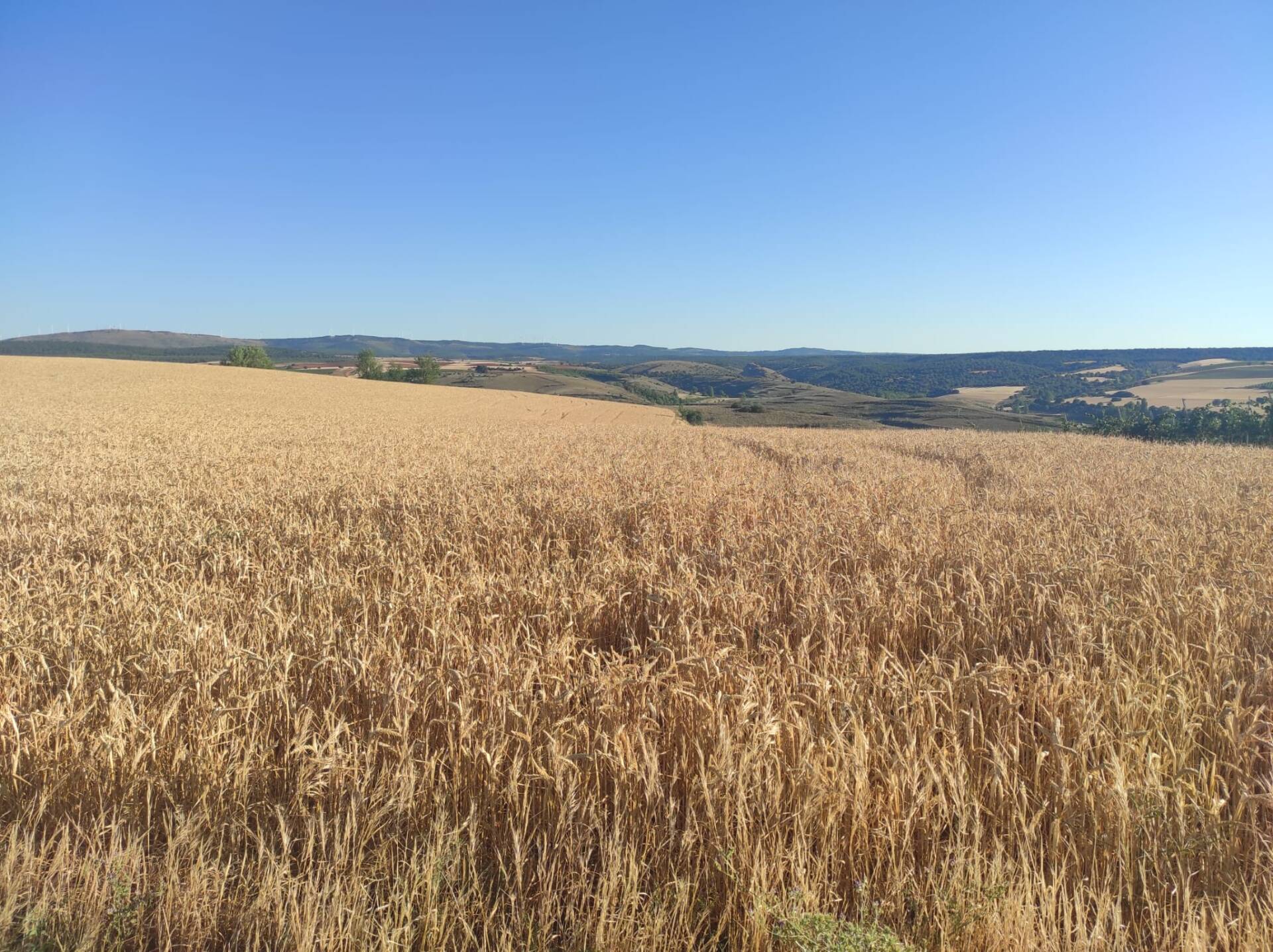 AIMPLAS desarrolla sus últimos proyectos con técnicas mecánicoquímicas limpias y biodegradables
