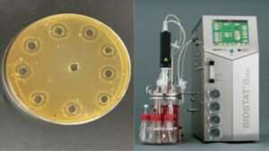 CTNC lidera un proyecto de investigación para sustituir aditivos químicos alimentarios por bioconservantes