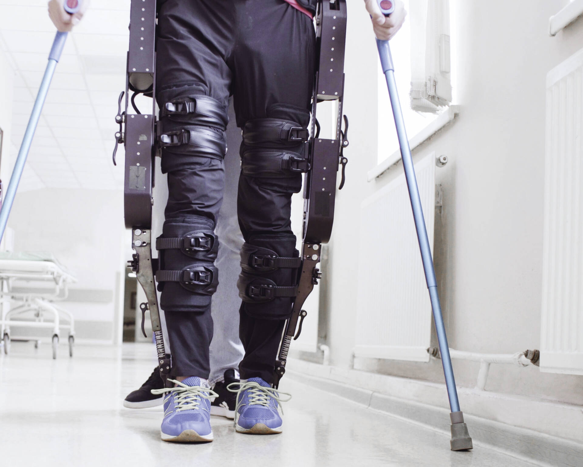 red Iberus -integrada por 4 Centros Tecnológicos Fedit- desarrolla tecnología aplicada a enfermedades degenerativas