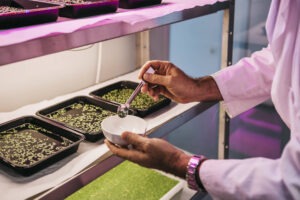 AINIA investiga la producción eficiente de carne cultivada e ingredientes funcionales a partir de biomasas acuáticas