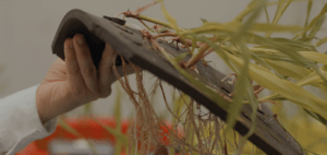 ADItech coordina diversos proyectos de investigación y desarrollo tecnológico en el sector agrícola y de la salud