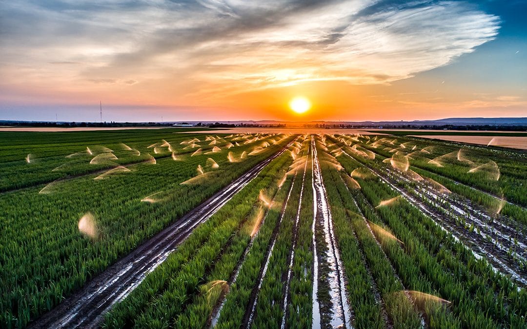 CTNC consigue prolongar el ciclo de vida de las aguas residuales procedentes de la industria alimentaria