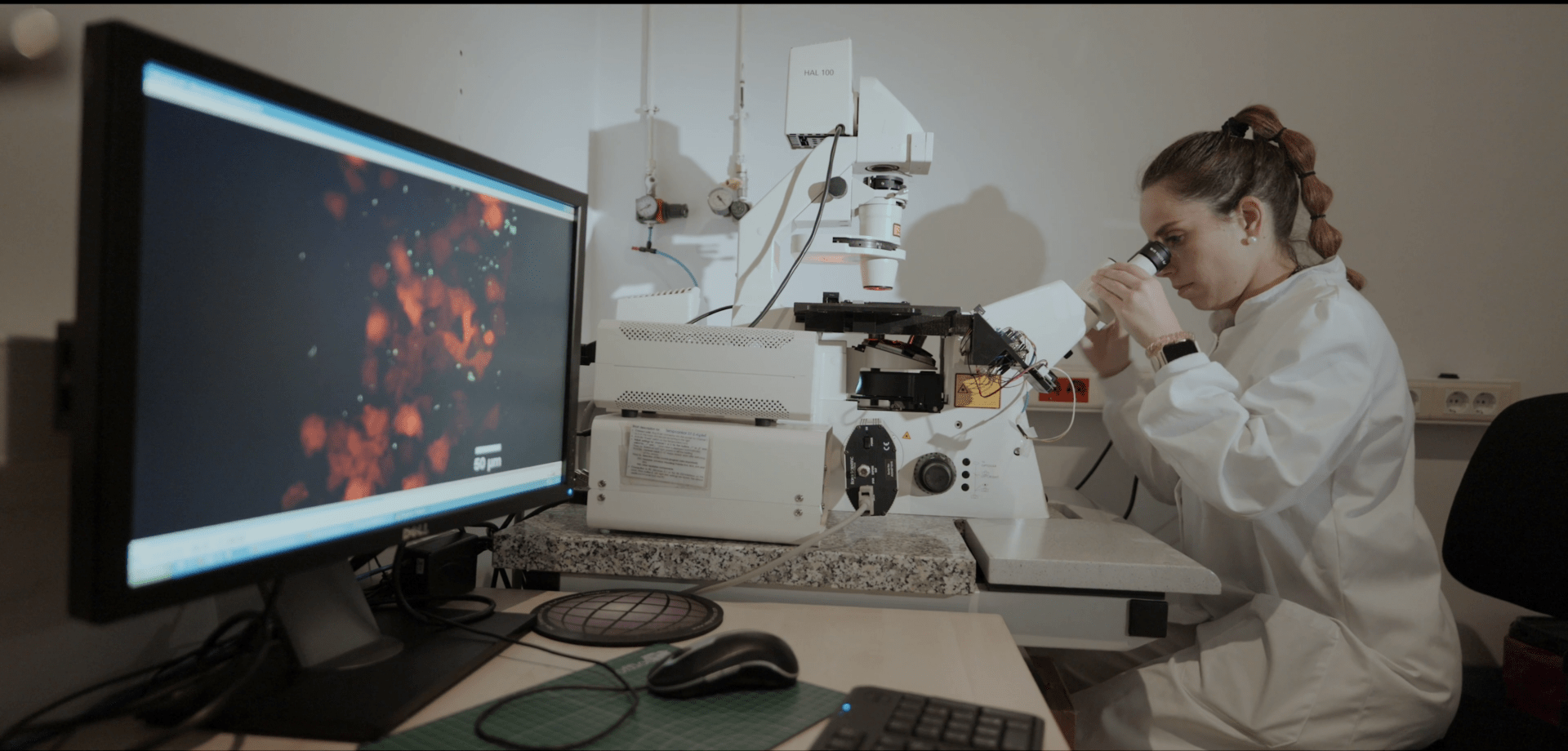 ADItech coordina diversos proyectos de investigación y desarrollo tecnológico en el sector agrícola y de la salud