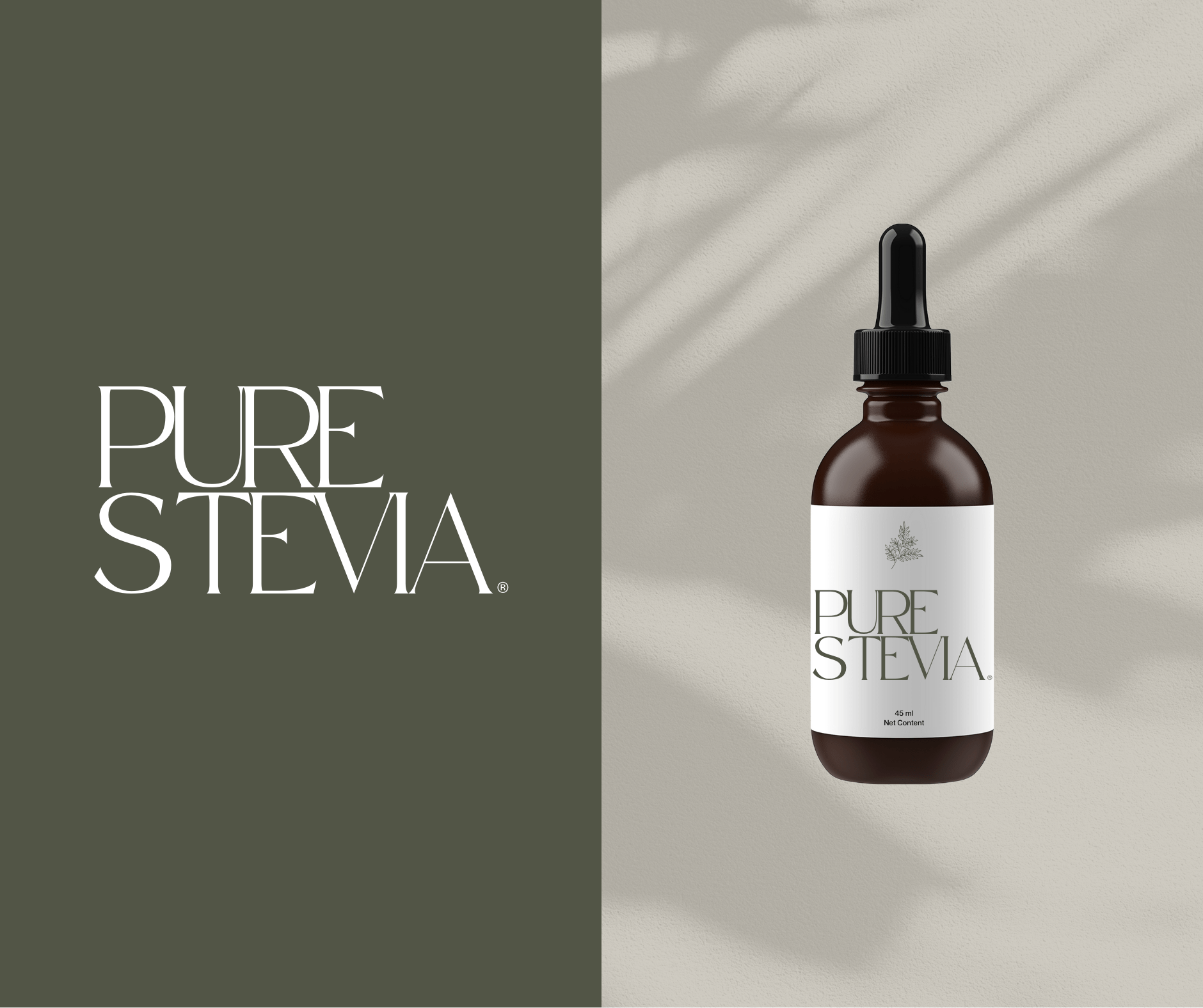 CTAEX comparte proyectos con Biostevera, empresa tractora del cultivo y transformación de la estevia ecológica