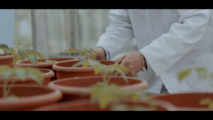 ADItech coordina diversos proyectos de investigación y desarrollo tecnológico en el sector agrícola y de la salud