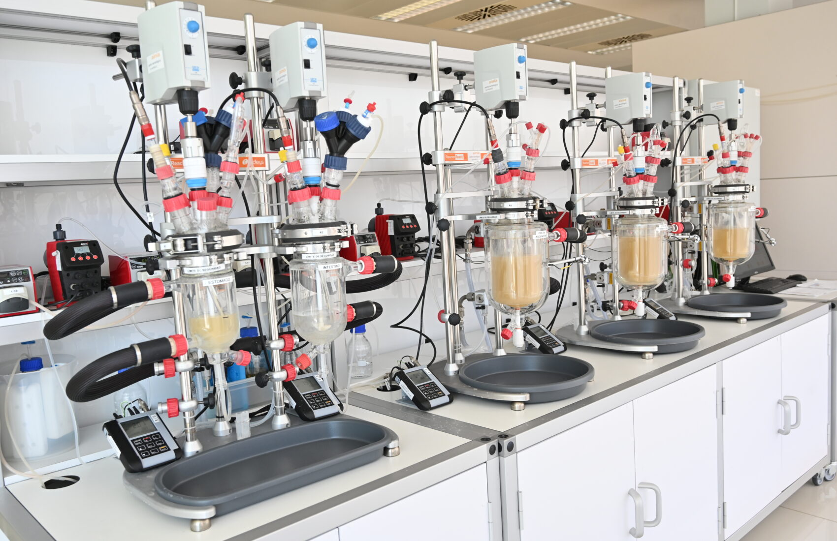 ITI y AINIA perfilan una plataforma digital para aconsejar al usuario qué tipo de alimentos debería consumir