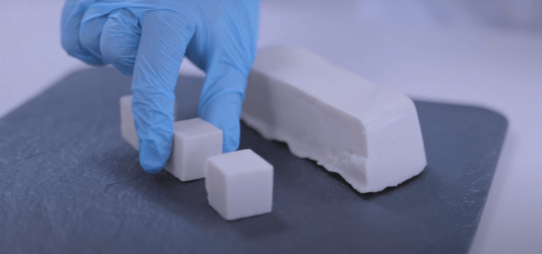 ADItech coordina un proyecto que obtiene nuevos ingredientes de origen vegetal a través de la fermentación