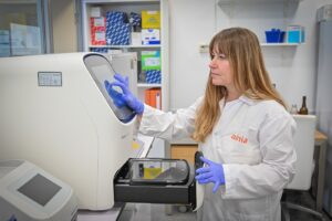 El Centro Tecnológico AINIA avanza en la producción eficiente y sostenible de carne cultivada in vitro