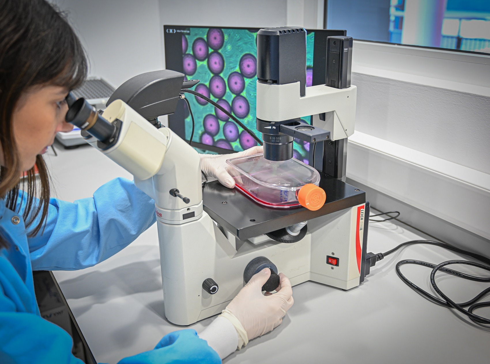 El Centro Tecnológico AINIA avanza en la producción eficiente y sostenible de carne cultivada in vitro