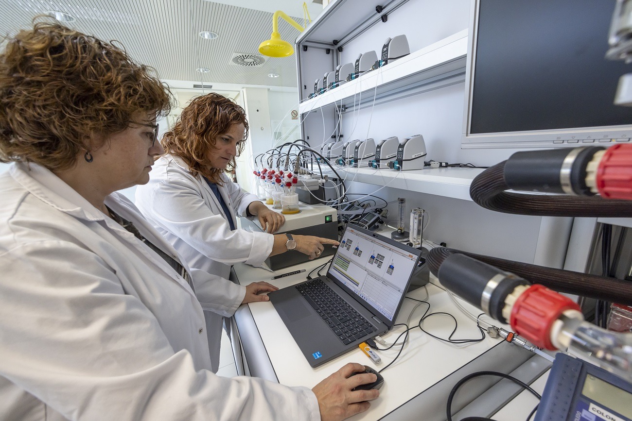 AINIA e ITI desarrollan una plataforma con servicios digitales avanzados para facilitar la nutrición personalizada