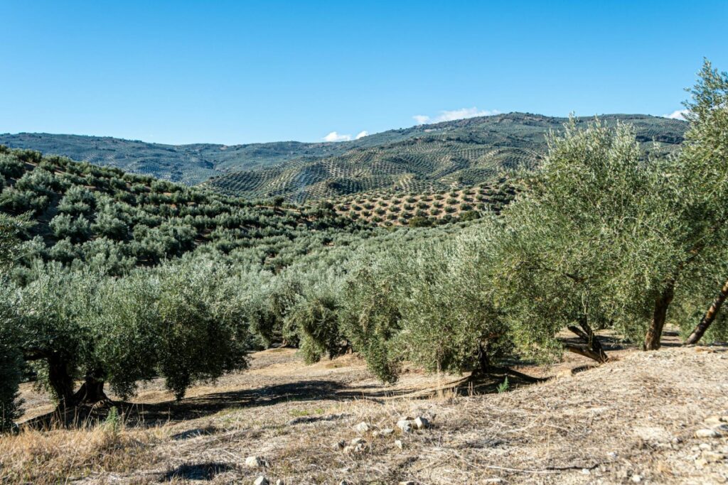 TECNOVA forma parte de dos proyectos innovadores -VITA-TERRA y OSMAR- que apuestan por la sostenibilidad agrícola