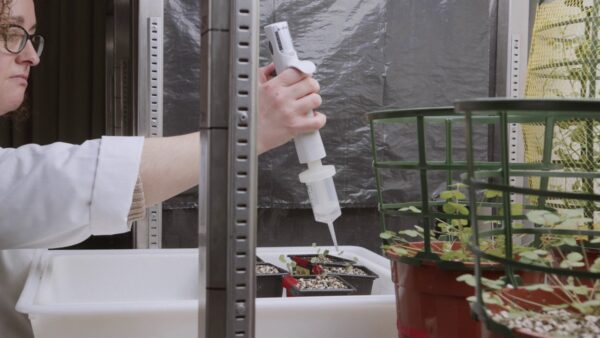 ADItech busca reducir la contaminación de suelos agrícolas por fertilizantes y avanzar hacia una electrónica más pequeña