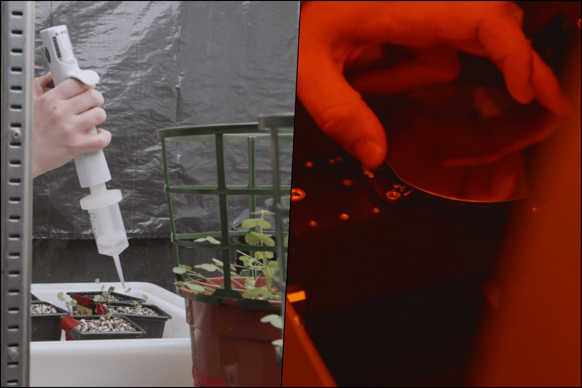 ADItech busca reducir la contaminación de suelos agrícolas  por fertilizantes y avanzar hacia una electrónica más pequeña