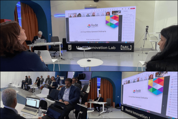 Newsletter Noviembre 2024