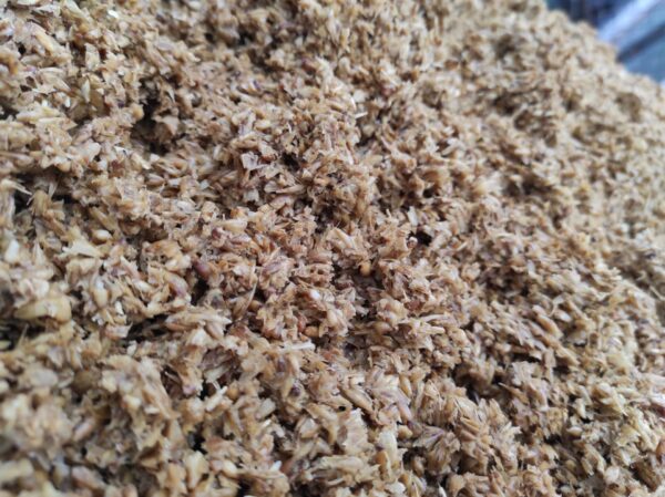 AIMPLAS logra la neutralidad climática en 2023 y participa en los proyectos BOTTLE4FLEX y POLYMEER