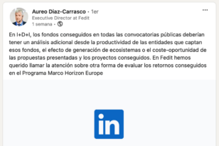 Newsletter Diciembre 2024