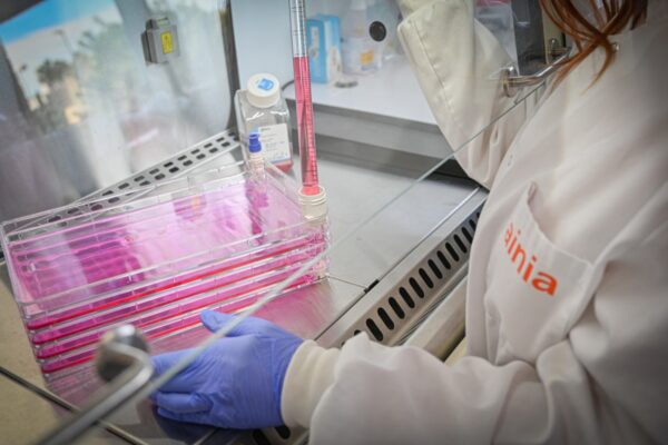 Investigación para impulsar la producción de proteínas alternativas y carne cultivada