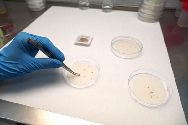 Los Centro Tecnológicos INESCOP e ITC -REDIT- apuestan por la valorización de residuos marinos