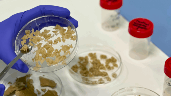 CTC diseña un sistema de liberación controlada para fertilizantes sin impacto ambiental para el proyecto europeo AGRO4AGRI