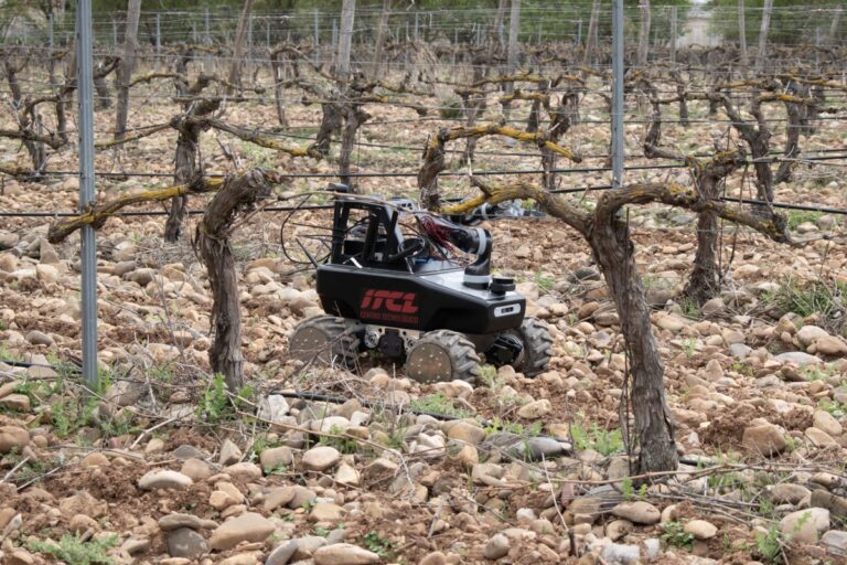 ITCL Centro Tecnológico -NODDO- presenta soluciones tecnológicas para modernizar al sector vitivinícola