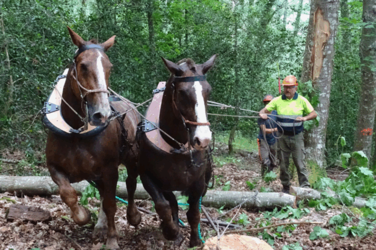 FORTEXVAL se consolida como modelo de bioeconomía circular de referencia para el desarrollo de zonas rurales