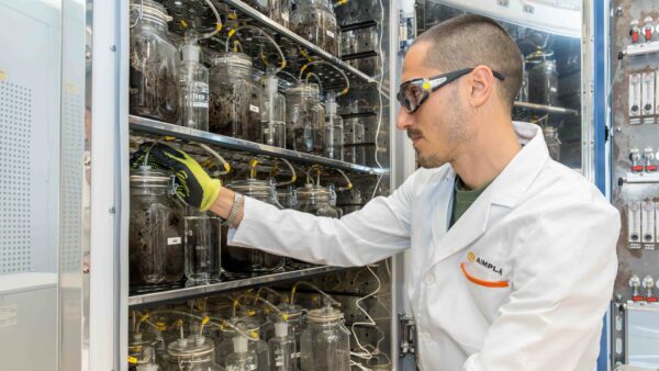 AIMPLAS desarrolla recubrimientos y compuestos ignífugos sostenibles y estudia la sostenibilidad y seguridad de los bioplásticos