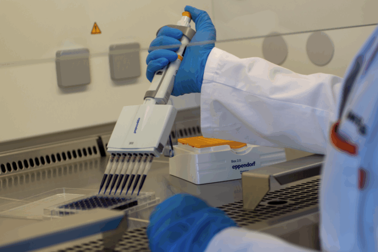 AIMPLAS desarrolla recubrimientos y compuestos ignífugos sostenibles y estudia la sostenibilidad y seguridad de los bioplásticos