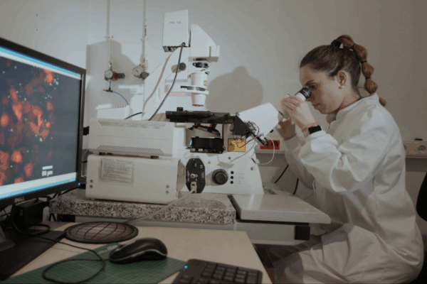 Los Centros Tecnológicos impulsan la innovación española: 29.000 empresas cliente, más de 917 M€ de ingresos y un crecimiento del 6,5% en 2024