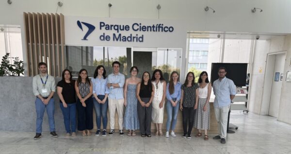 Finaliza la Red Cervera RECIPOL con buenos resultados en el campo de la obtención y reciclaje de espumas de PU biobasadas