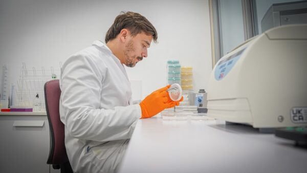 AINIA reelige a Manuel García-Portillo como presidente, y avanza en el uso de la IA generativa y tecnologías alimentarias innovadoras