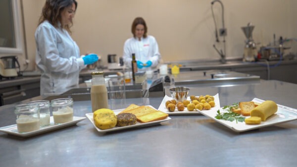 Los Centros Tecnológicos de REDIT generan una inversión inducida en la I+D+I de la Comunitat Valenciana superior a 223M €