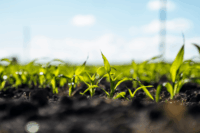 AITIIP acoge el arranque del proyecto SOUL, que combate la contaminación del suelo con plásticos biodegradables