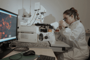 Los Centros Tecnológicos de España logran cifras históricas en 2024: más de 917 M€ de ingresos, crecimiento del 6,5% y 29.000 empresas cliente