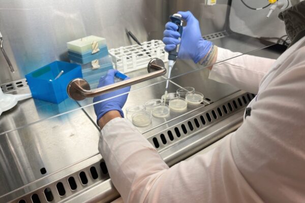 EURECAT avanza en los proyectos MicroWorld Puertos, Bioforin, TEXWOODS y ensaya innovadoras estructuras biomiméticas