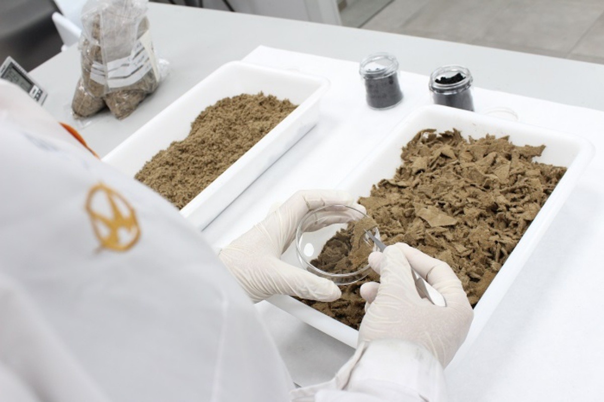 El ITE -REDIT- apuesta por la innovación ambiental para convertir residuos de cuero en materiales con valor añadido y energía