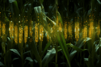 El CTNC presenta los resultados del proyecto GO DIGFOOD, un hito en la digitalización del sector agroalimentario