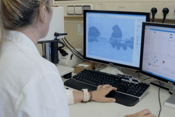 ITC -REDIT- coordina el proyecto europeo PMFree-Ports y participa en los proyectos DeCoWaste, PROPERGLAZE y ADDAPT3D