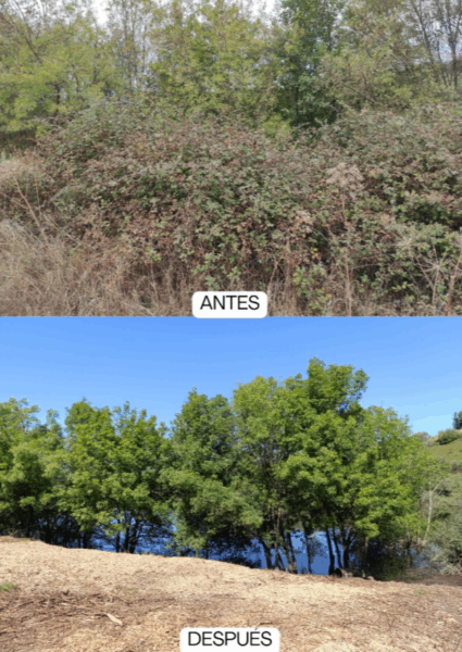 CTAEX forma para de un proyecto que impulsa la restauración fluvial en la cuenca occidental del TAJO