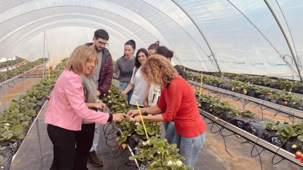 El Centro Tecnológico TECNOVA abre nuevas oportunidades para la tecnología agrícola española en China