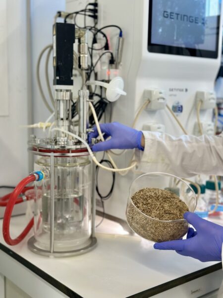 AIMPLAS lidera un proyecto para fabricar bioplásticos sostenibles y analiza los retos normativos y tecnológicos en PLASREC