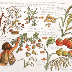 Ramón de Arcos ilustra los 25 hitos de la agricultura en la exposición del XXV Aniversario del Centro Tecnológico CTAEX