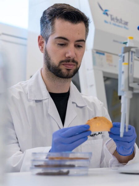 AIMPLAS lidera el proyecto VEGANCELIO, colabora en la iniciativa MARVIVA y participa en el proyecto MULTIPLY