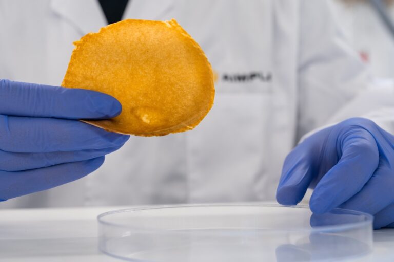 AIMPLAS lidera el proyecto VEGANCELIO, colabora en la iniciativa MARVIVA y participa en el proyecto MULTIPLY